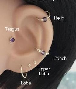Single Thin Small Gold CZ Hoop